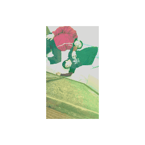 rose heart